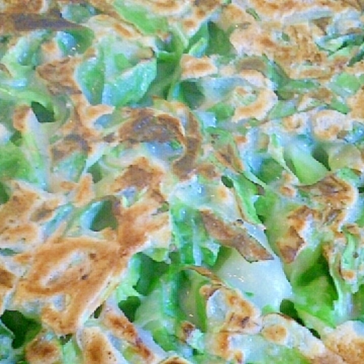 春キャベツの外葉のお好み焼き